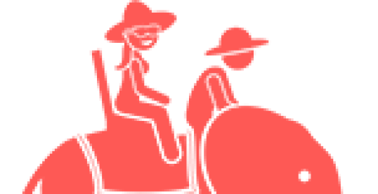 Elephant Tours