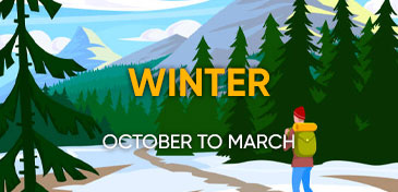 Season